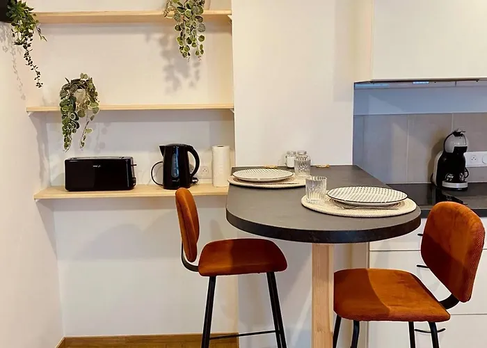 Le Nid Des Soeurs Macarons Апартаменты Нанси